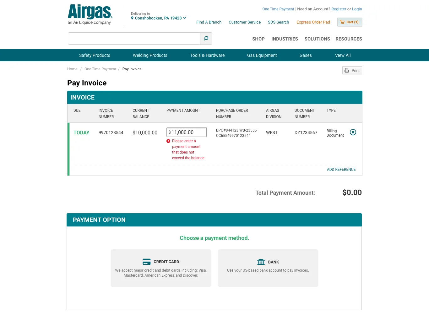 Pay Invoice screen with $11,000 entered against a $10,000 balance, showing the inline error 'Please enter a payment amount that does not exceed the balance' and a payment total of $0.00