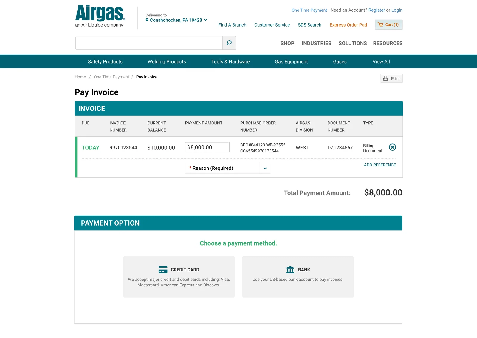 Pay Invoice screen with a partial payment amount entered, lower than the current balance