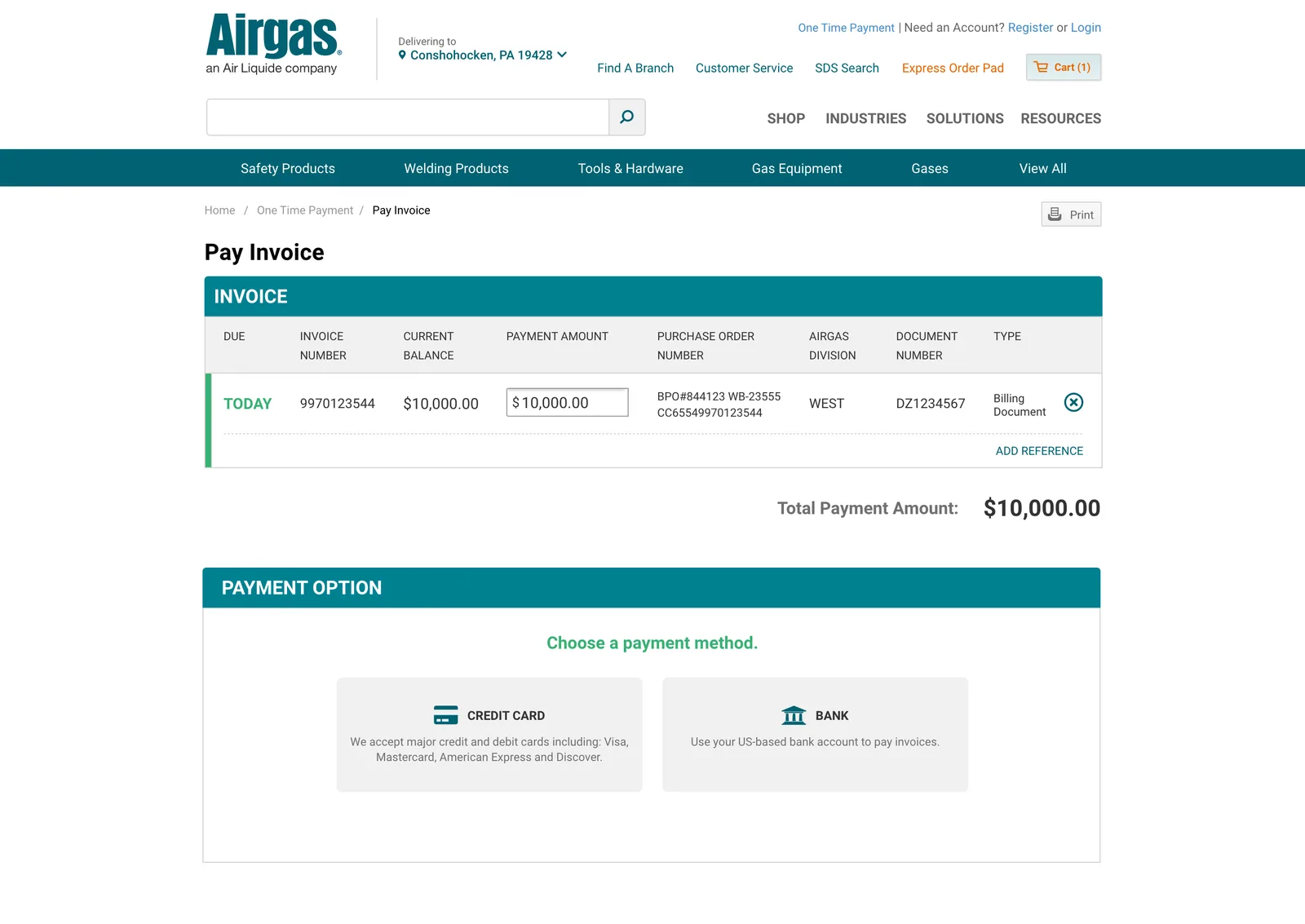 Pay Invoice screen with the payment amount pre-filled to the invoice's current balance